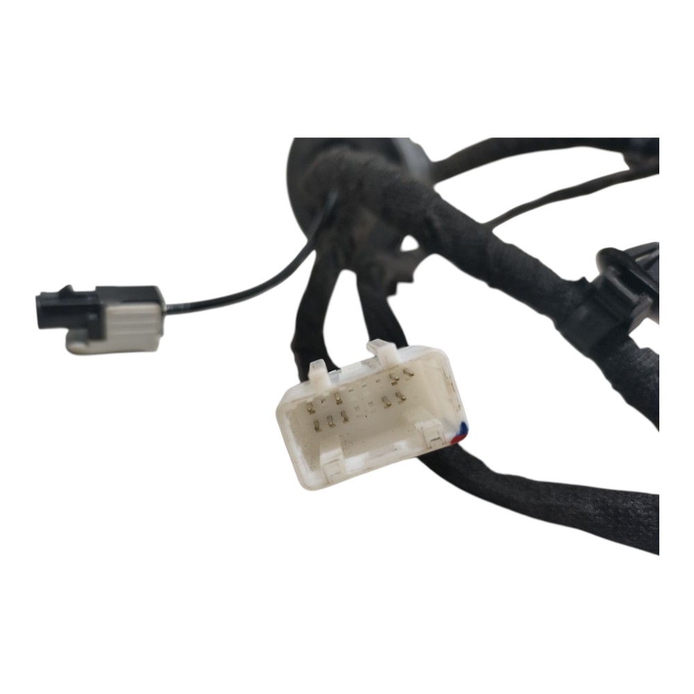 Chicote Porta Dianteira Esquerda Byd Dolphin Gs 2024 25 V666 9