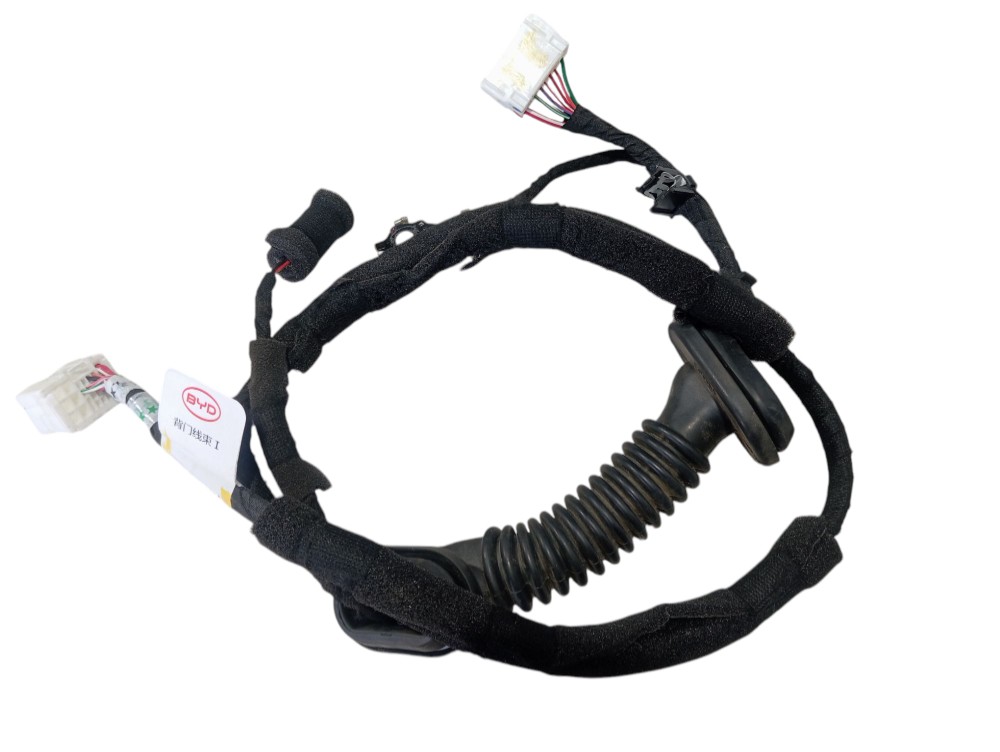 Chicote Tampa Traseira Byd Dolphin Gs 2024 2025 V628 6