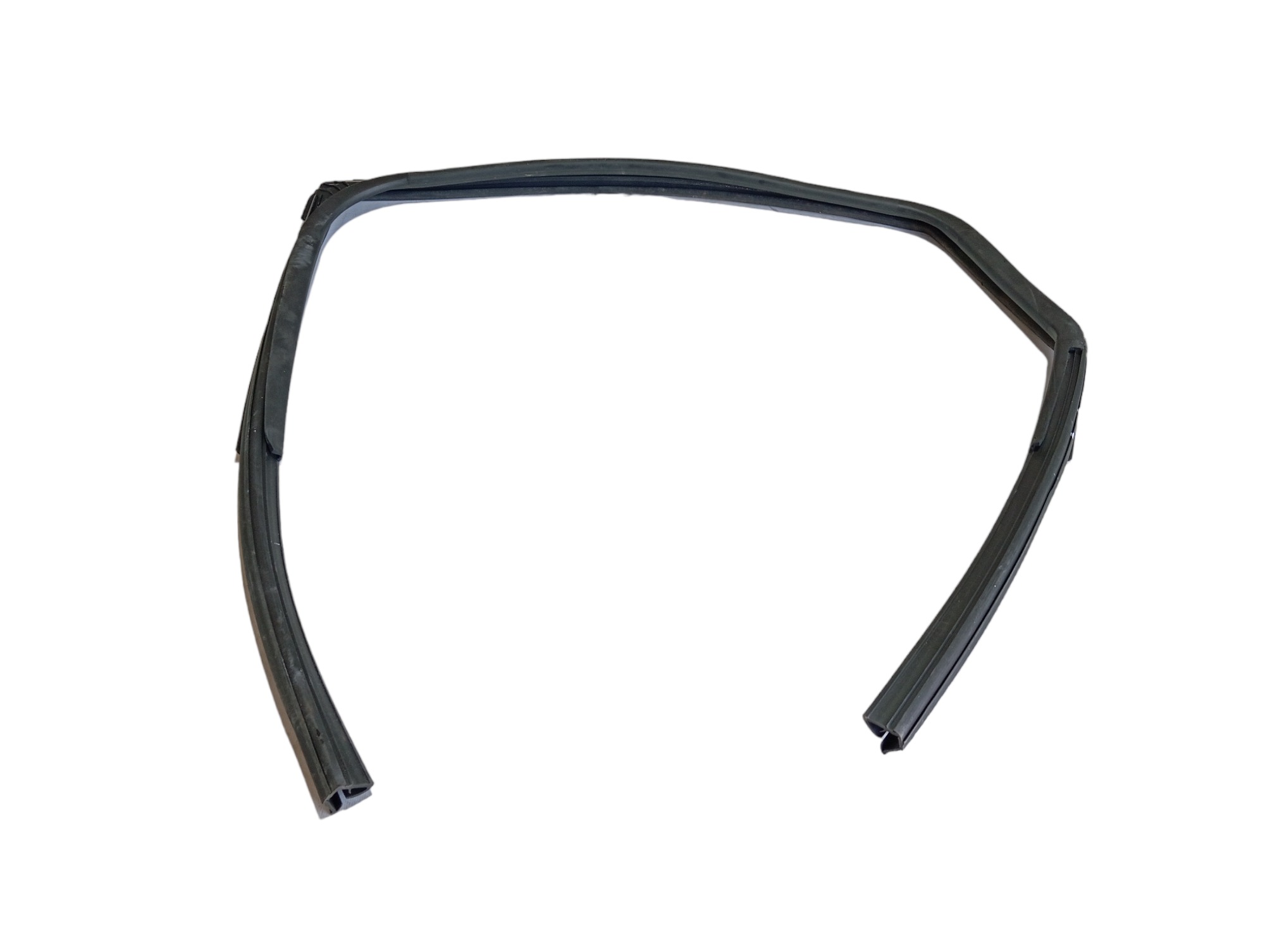 Borracha Porta Traseira Direita Byd Dolphin Gs 2024 25 V594 1