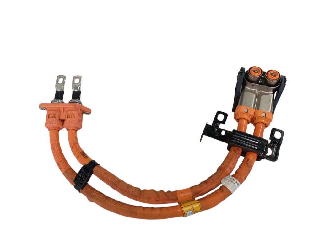 Chicote Motor Gwm Ora Gt 2023 2024 V625 3