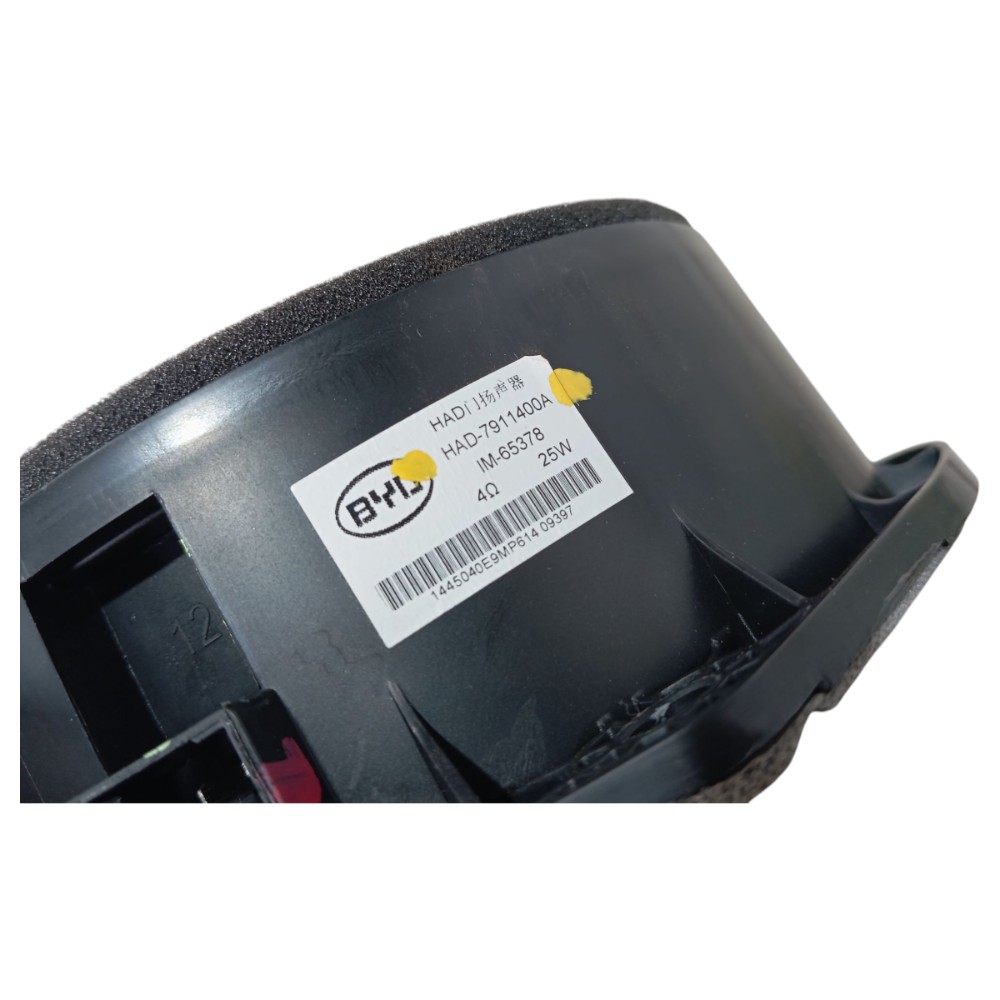 Alto Falante Porta Trase Direita Byd Dolphin Gs 2024 25 V653