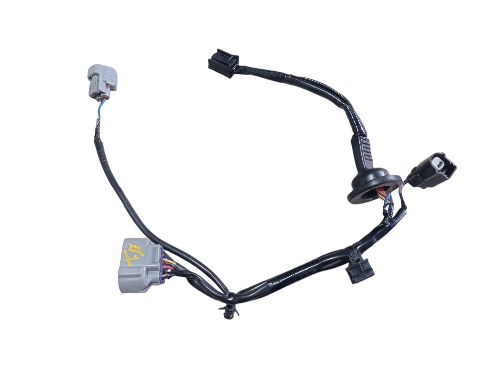 Chicote Lanterna Traseira Direita Rx500h Fsport 2023 V619 7