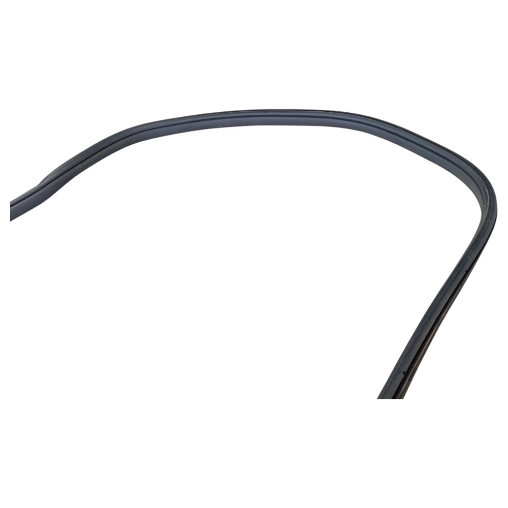 Borracha Porta Dianteira Direita Byd Dolphin Gs 2024 25 V653