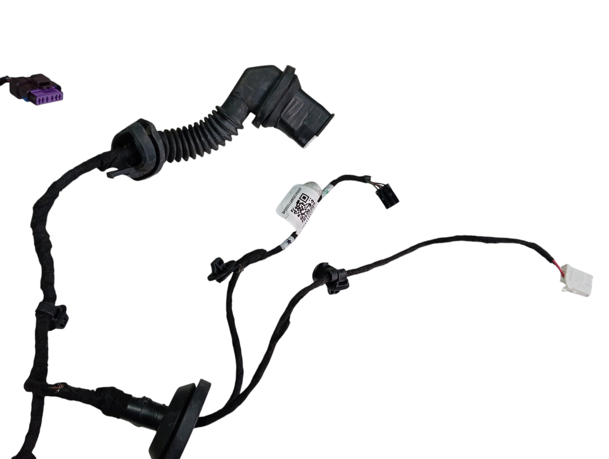 Chicote porta traseira esquerda Dolphin GS 180ev 2024 v596 5