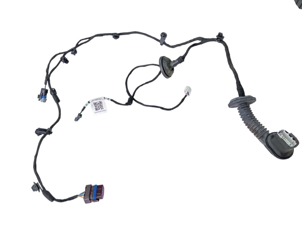 Chicote Porta Traseira Esquerd Byd Dolphin Gs 2024 2025 V628 2