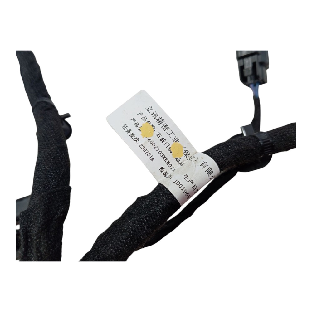 Chicote porta dianteira direita Gwm Haval GT 2024 V636 3