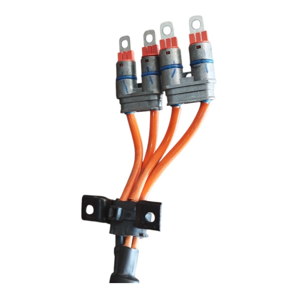 Cabo Carregador Bateria Byd Song Plus 2024 V631 4
