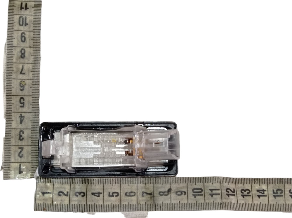 Luz Placa Renault Zoe Neo Int 2023 V617 8