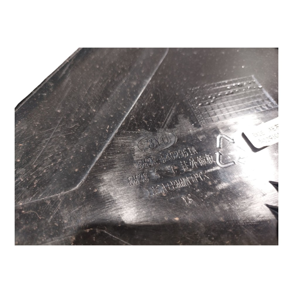 Moldura Externa Trasei Esquerda Byd Dolphin Gs 2024 25 V666 6