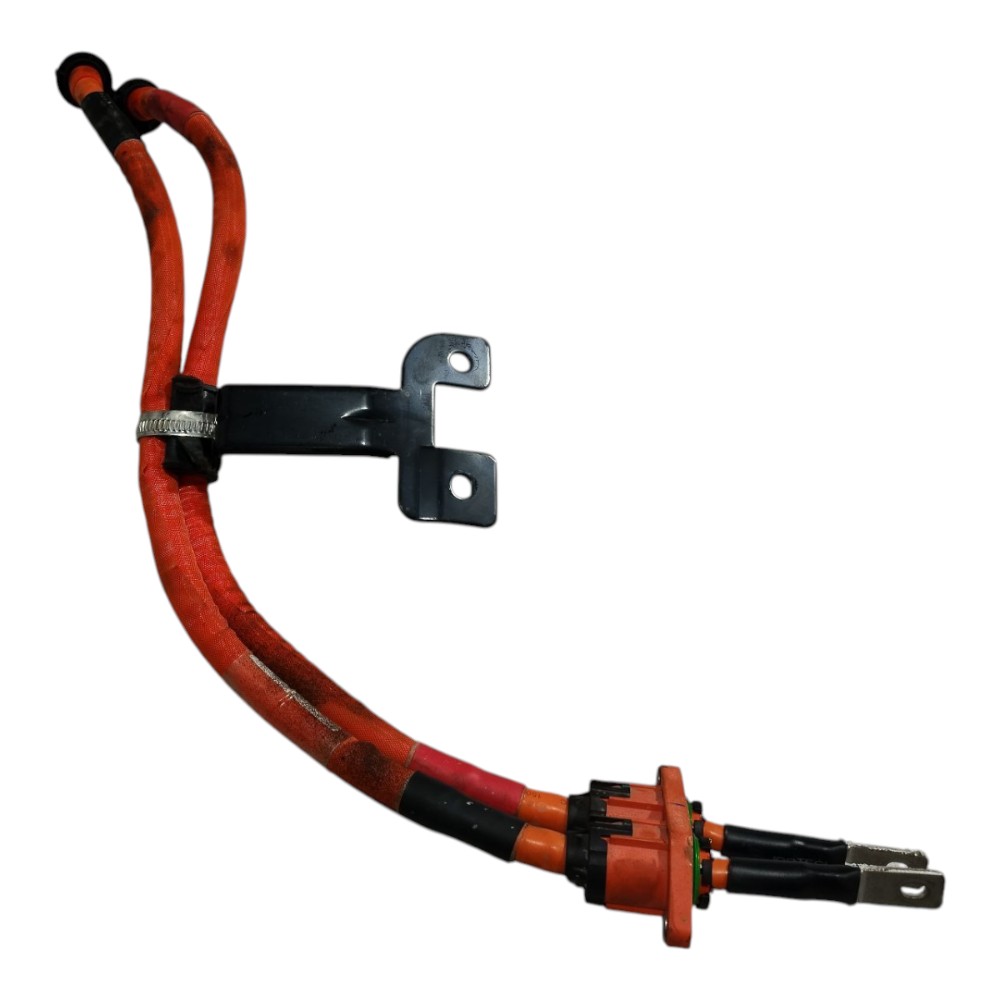 Chicote Cabo Bateria Byd Dolphin Mini 2024 2025 V665 2