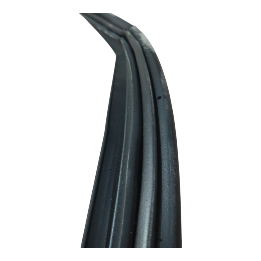 Borracha Porta Traseira Direita Byd Dolphin Gs 2024 25 V628 8