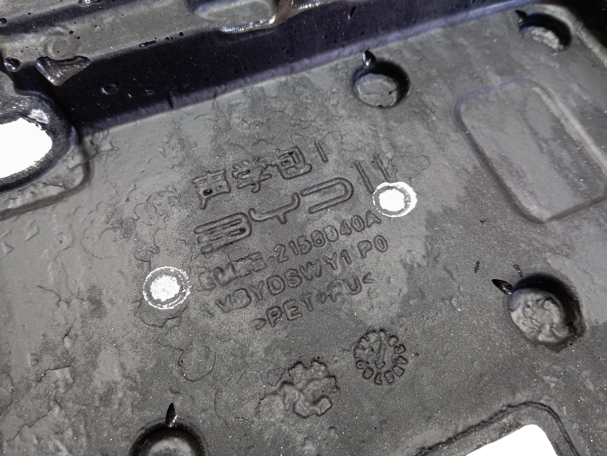 Capa Motor Conversor Byd Dolphin Gs 2024 2025 V596 6