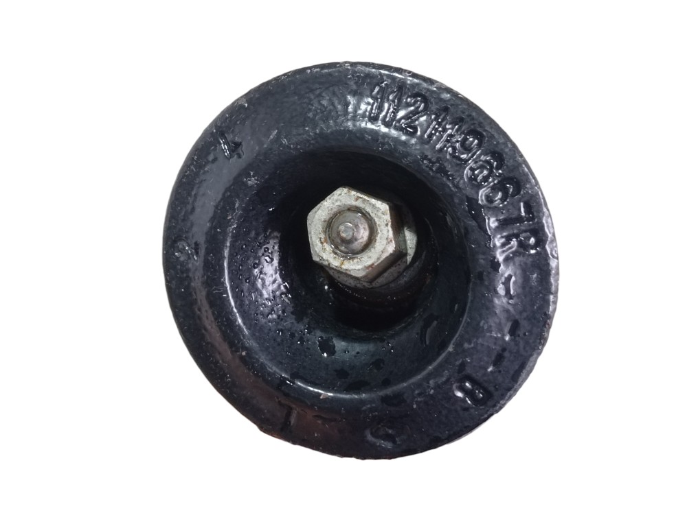 Suporte Coxim Motor Esquerdo Renault Zoe Neo Int 2023 V617 7