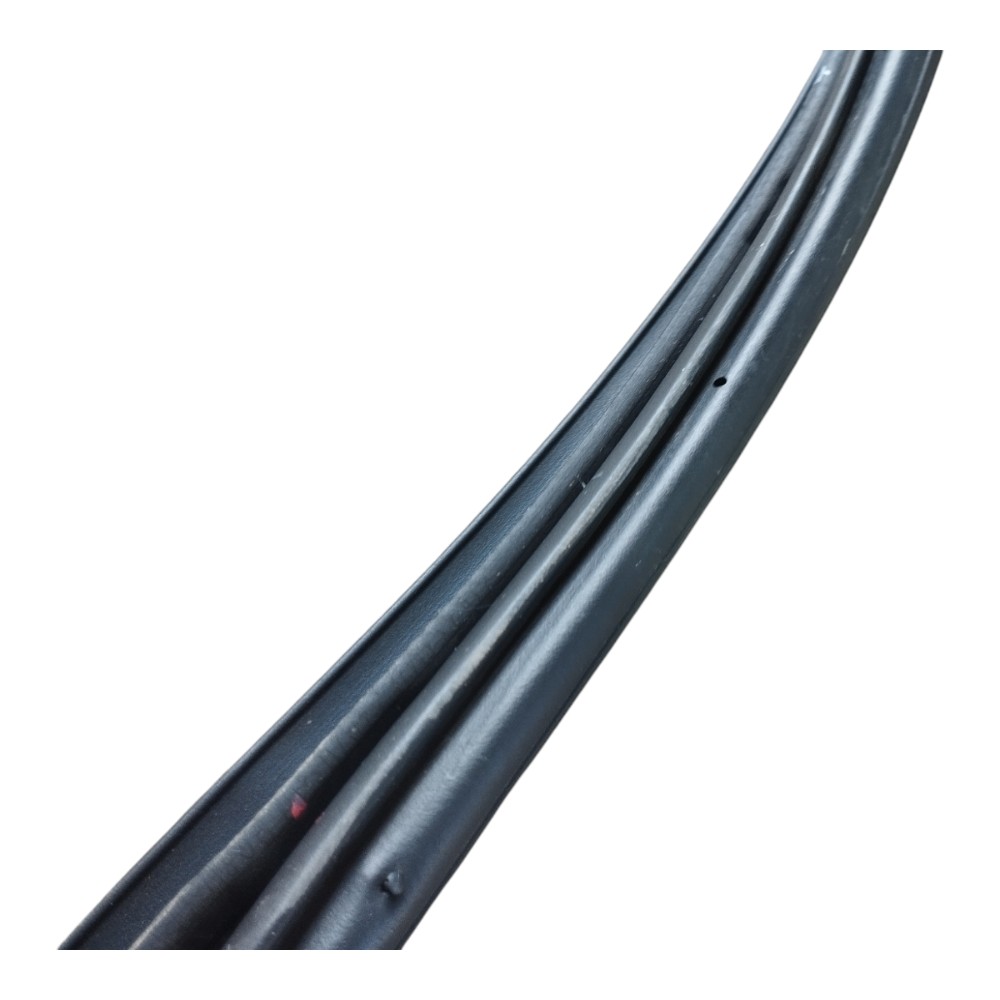 Borracha Porta Traseira Esquerda Byd Dolphin Gs 2024 25 V628 4