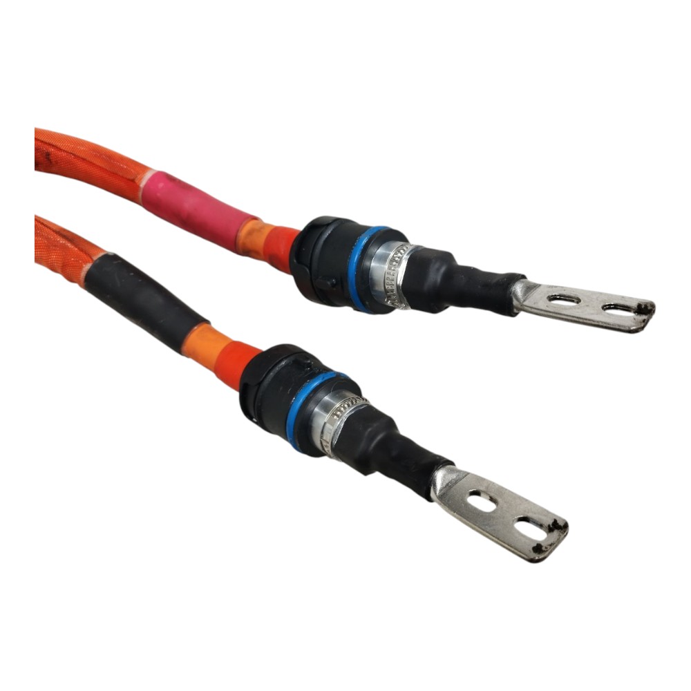 Chicote Cabo Bateria Byd Dolphin Mini 2024 2025 V665 3