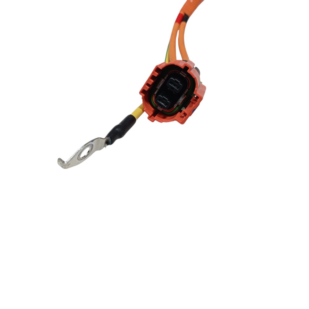 Cabo carregamento Byd Song Pro 2025 V669 4
