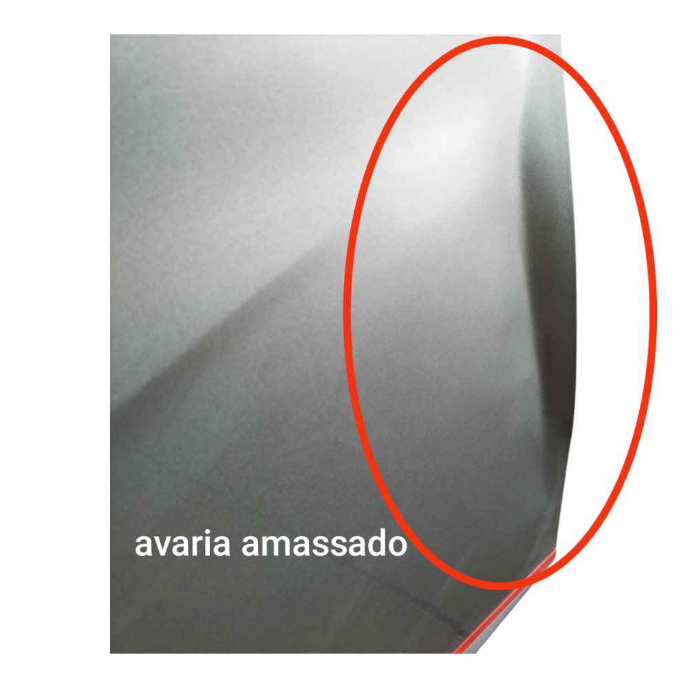 Porta Dianteira Direita Byd Dolphin 2024 25 V668 Dianteira 2