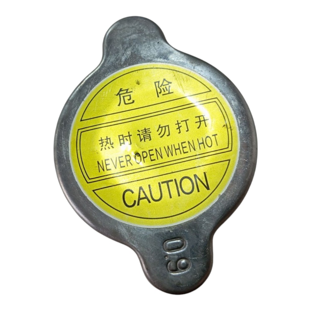 Tampa Radiador Byd Dolphin Mini 2024 2025 V634 4