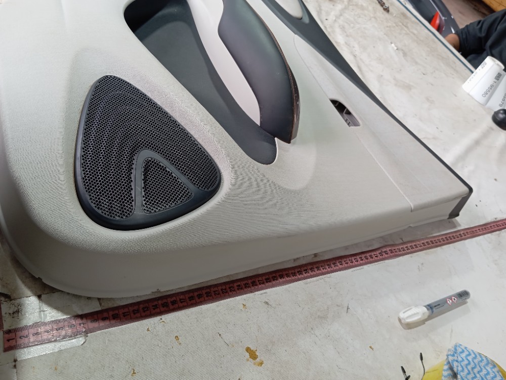 Forro Porta Traseira Esquerda Byd Dolphin Gs 2024 2025 V653 7