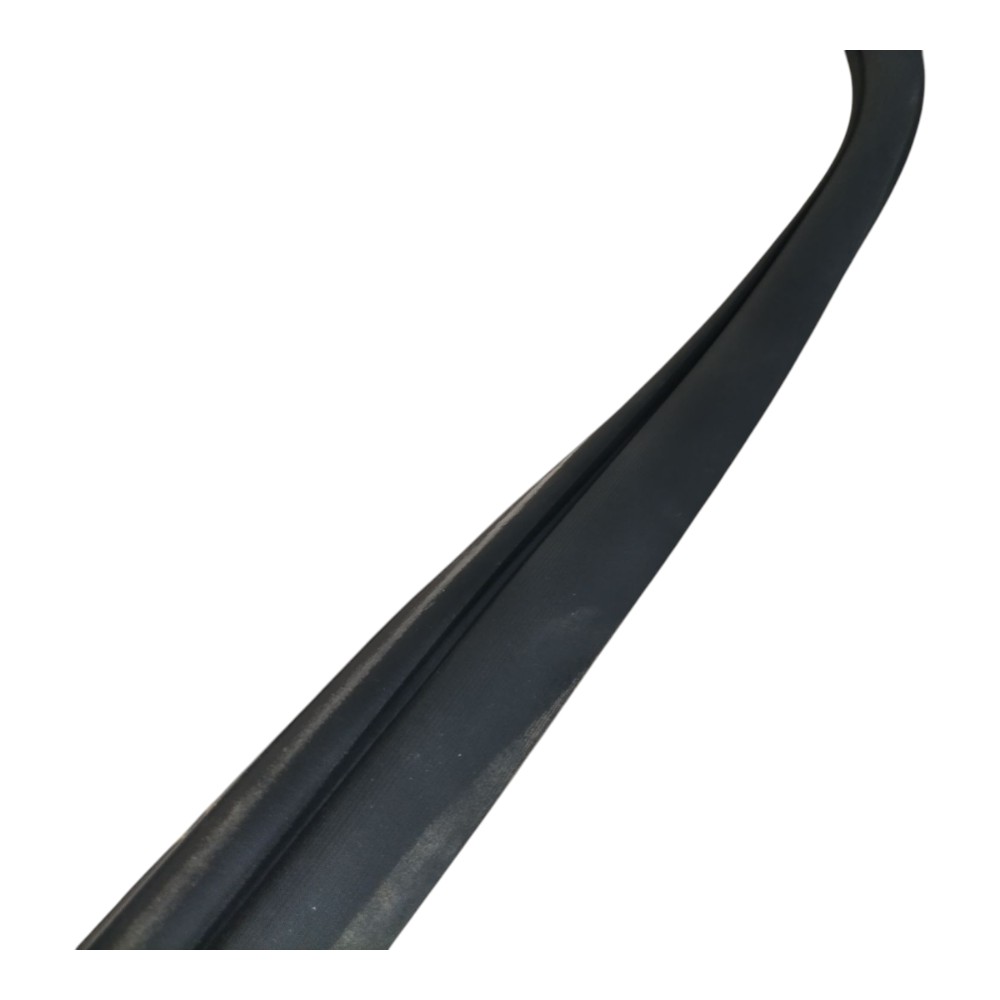 Borracha Porta Traseira Direita Byd Dolphin Gs 2024 25 V666 4
