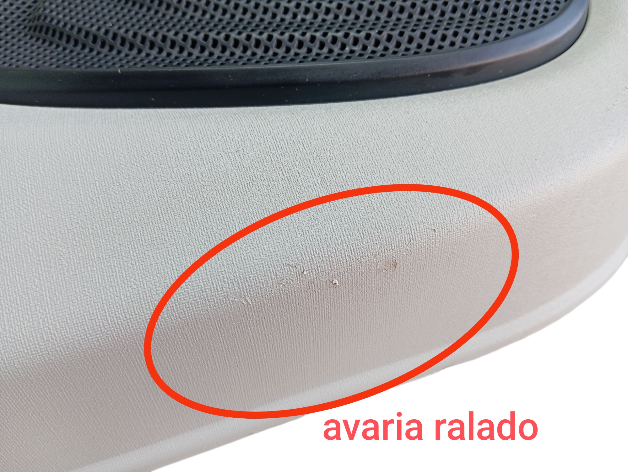 Forro Porta Dianteira Esquerda Byd Dolphin Gs 2024 25 V596 8