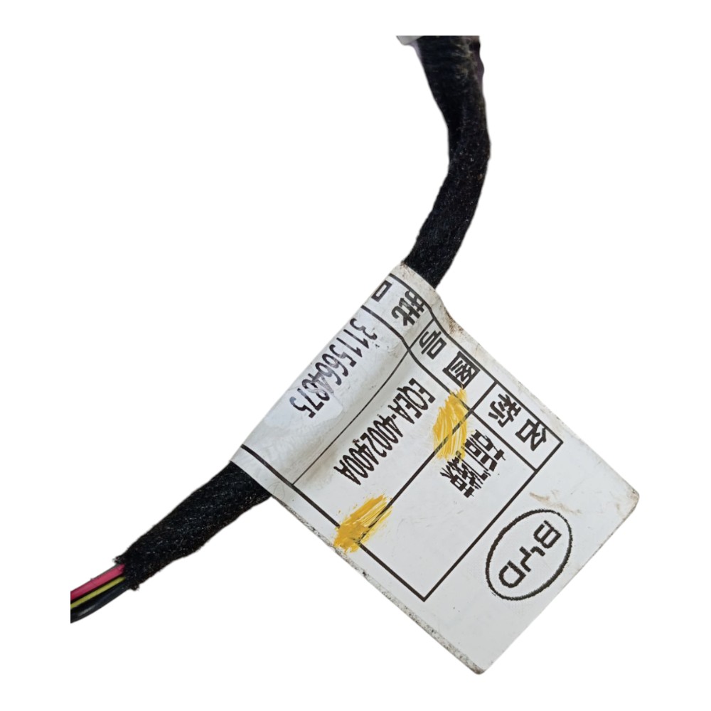 Chicote Porta Traseira Direita Byd Dolphin Mini 2024 25 V634 1