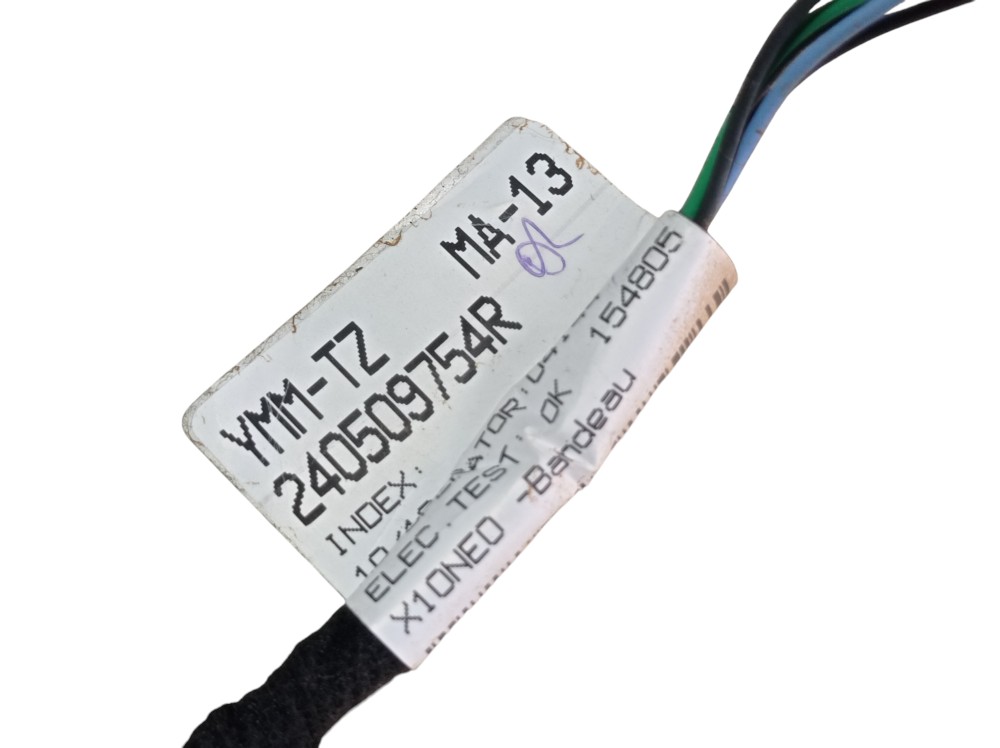 Chicote Camera Re Renault Zoe Neo Int 2023 V617 8