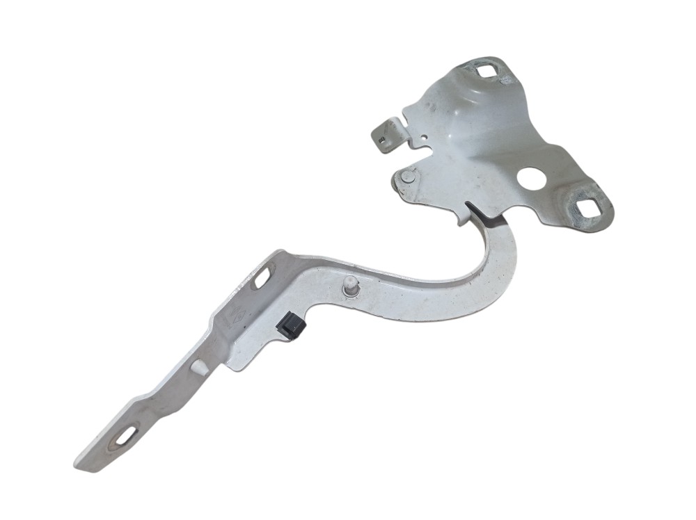 Dobradica Capo Direito Renault Zoe Neo Int 2023 V617 8