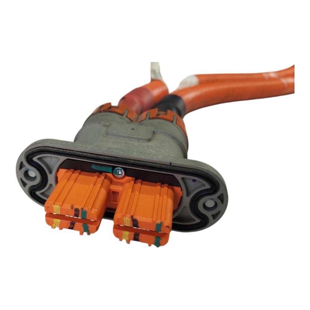 Cabo Chicote Bateria Byd Dolphin Mini 2024 2025 V634 2