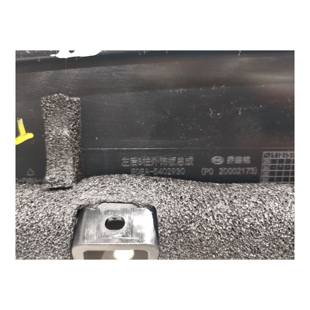Moldura Porta Traseira Esque Byd Dolphin Mini 2024 2025 V665 3