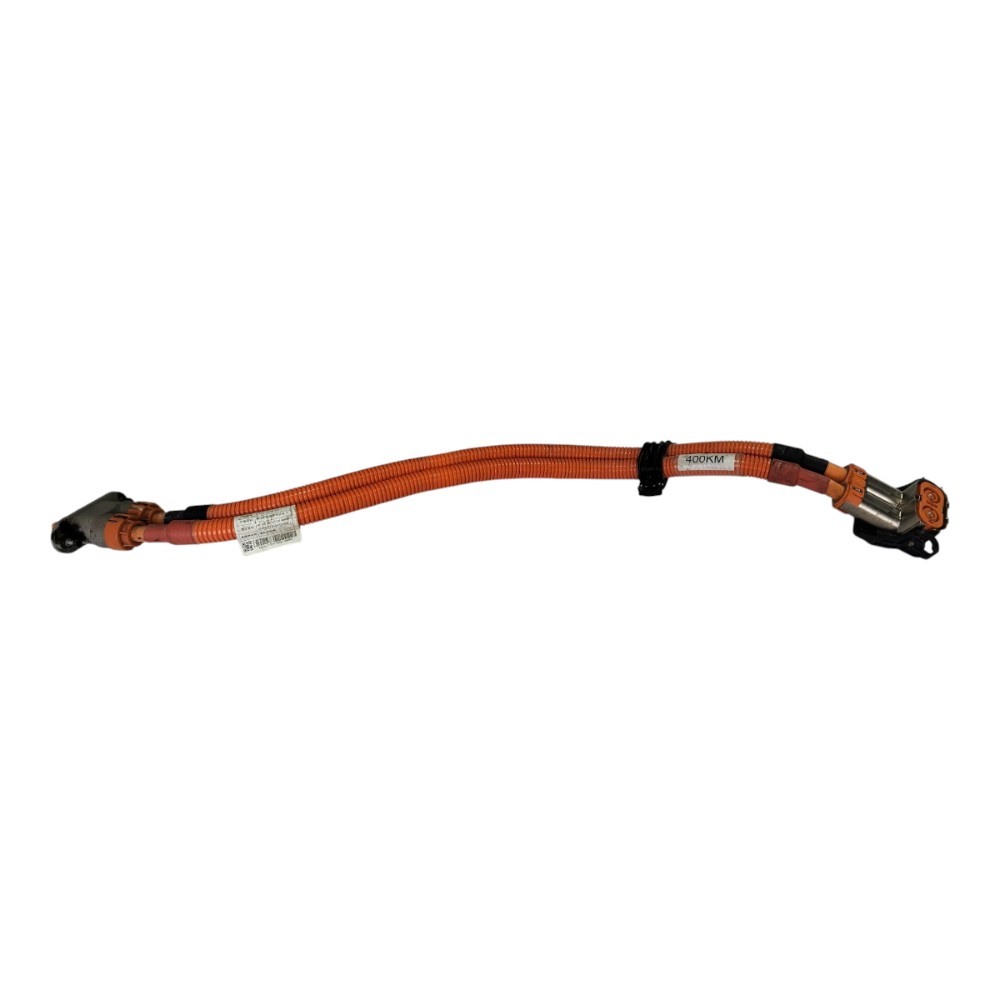 Cabo Chicote Bateria Byd Dolphin Mini 2024 2025 V634