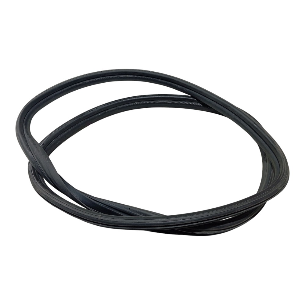 Borracha Porta Diante Direita Byd Dolphin Mini 2024 25 V665 4