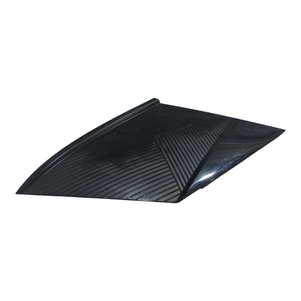Moldura Externa Trasei Esquerda Byd Dolphin Gs 2024 25 V666 5