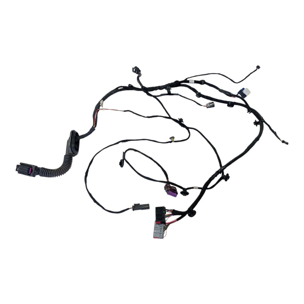 Chicote porta dianteira esquerda Gwm Haval GT 2024 V636 7
