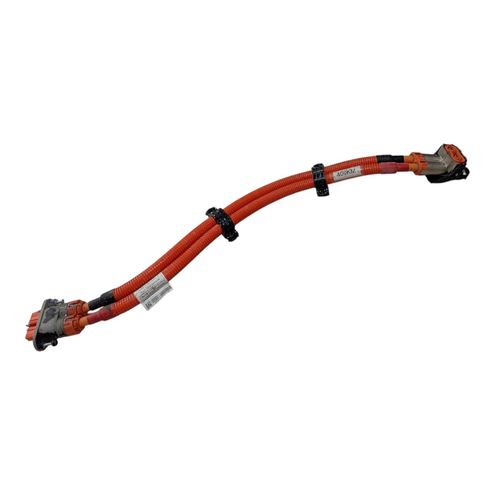 Cabo Bateria Byd Dolphin Mini 2024 2025 V665 3