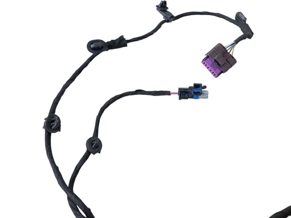 Chicote Porta Traseira Esquerd Byd Dolphin Gs 2024 2025 V628 3