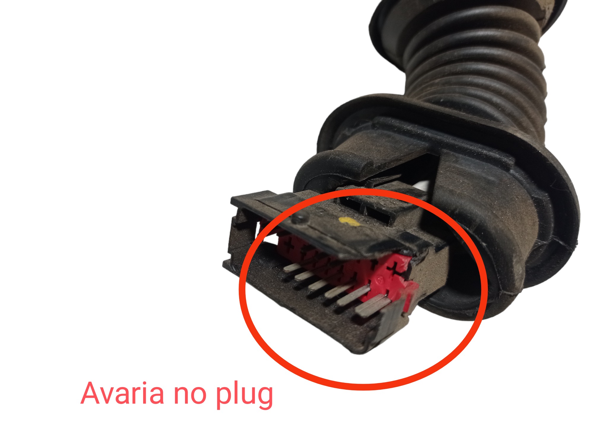 Chicote Porta Traseira Esquerda Peugeot 307 2005 V128 7