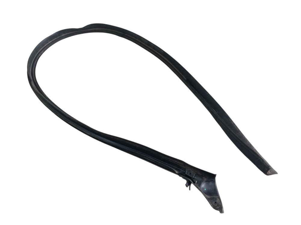 Borracha Pingadeira Esquerda Renault Zoe Neo Int 2023 V617 3