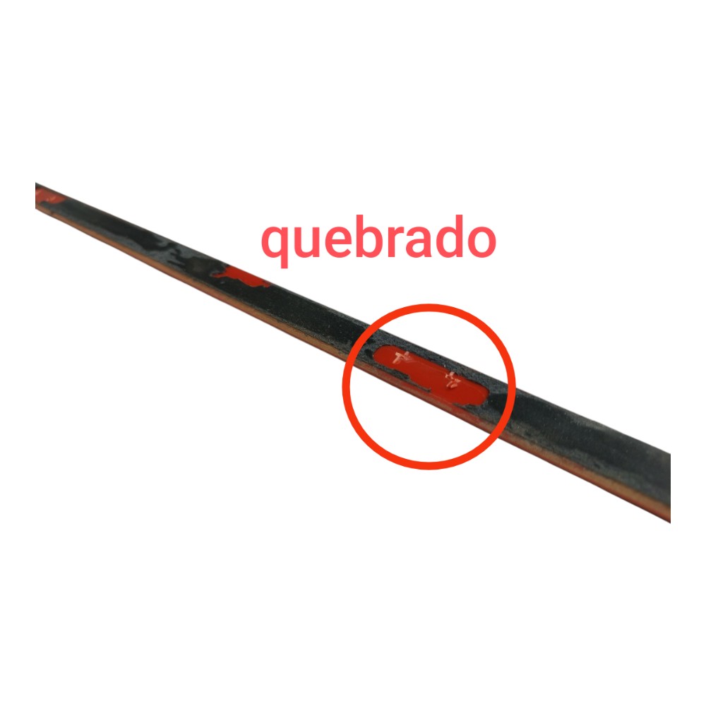 Friso Porta Dianteira Esquerdo Byd Dolphin Gs 2024 25 V666 6