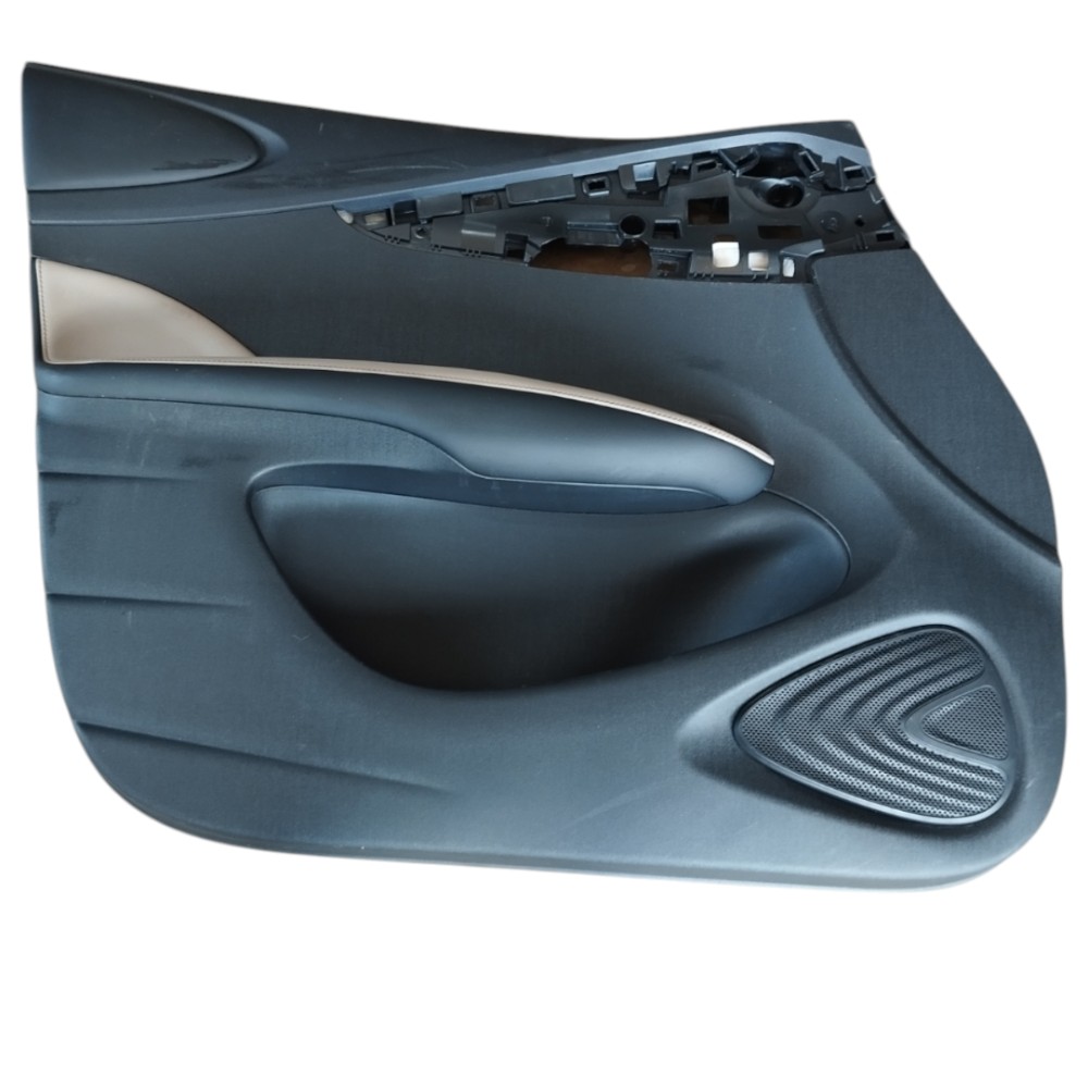 Forro Porta Dianteira Esquerda Byd Dolphin Gs 2024 25 V628 1