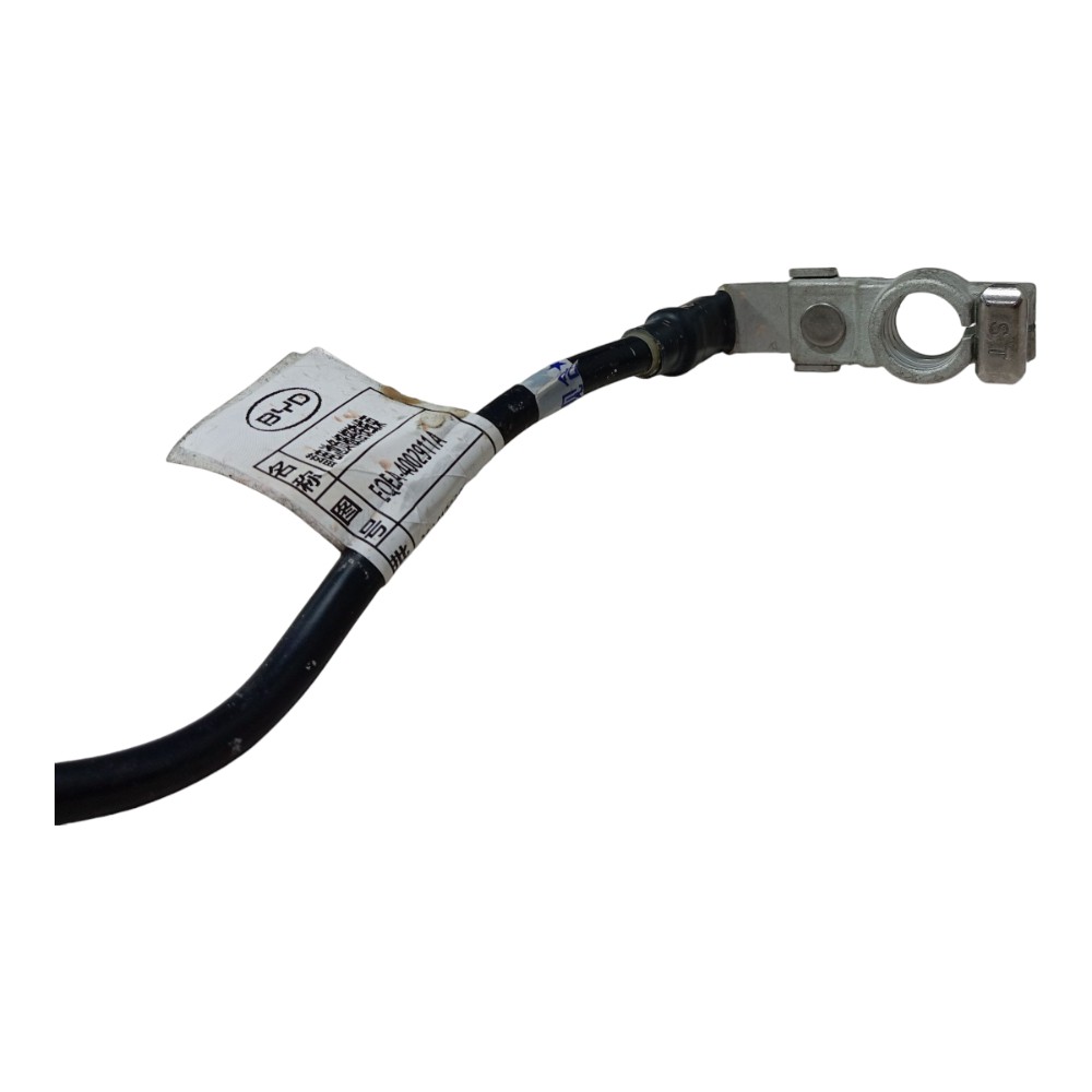 Cabo Negativo Bateria Byd Dolphin Mini 2024 2025 V665 8