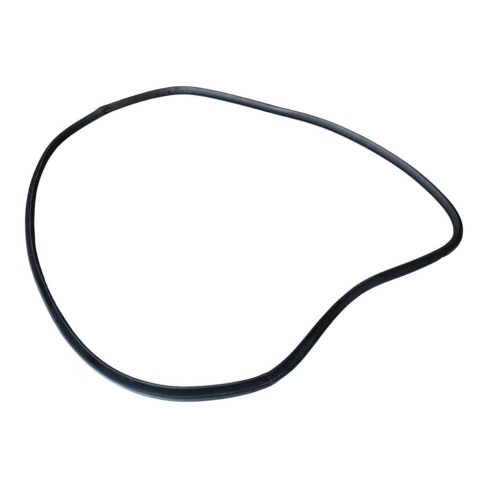 Borracha Porta Traseira Direita Byd Dolphin Gs 2024 25 V666 1