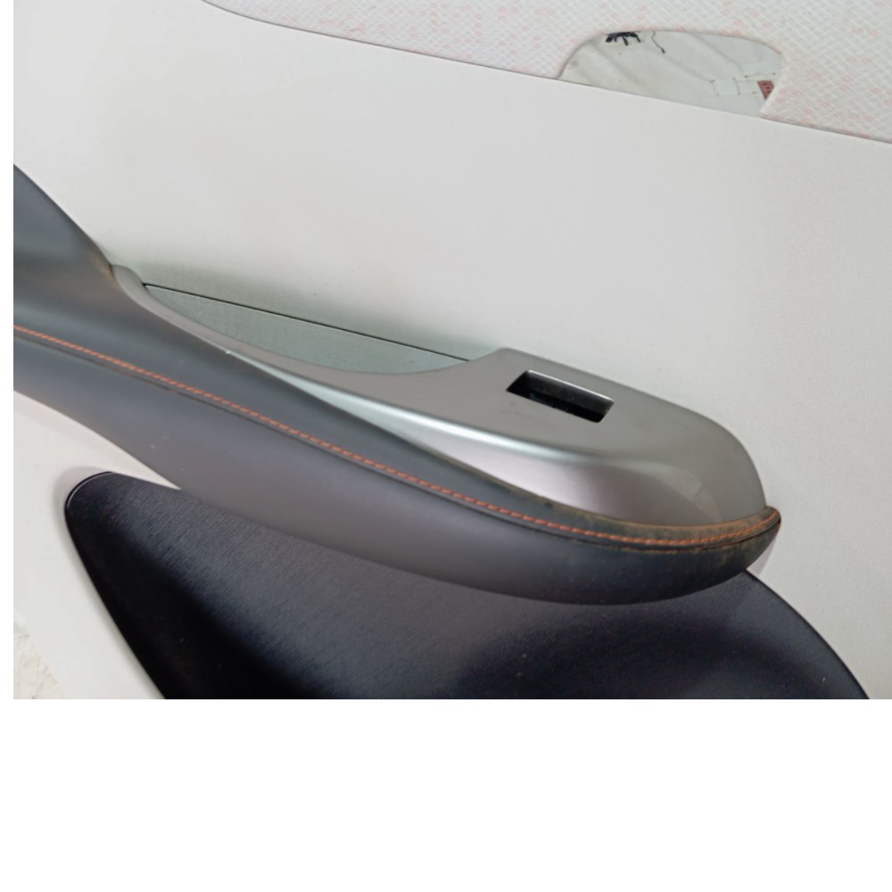 Forro Porta Traseira Esquerda Byd Dolphin Gs 2024 2025 V653