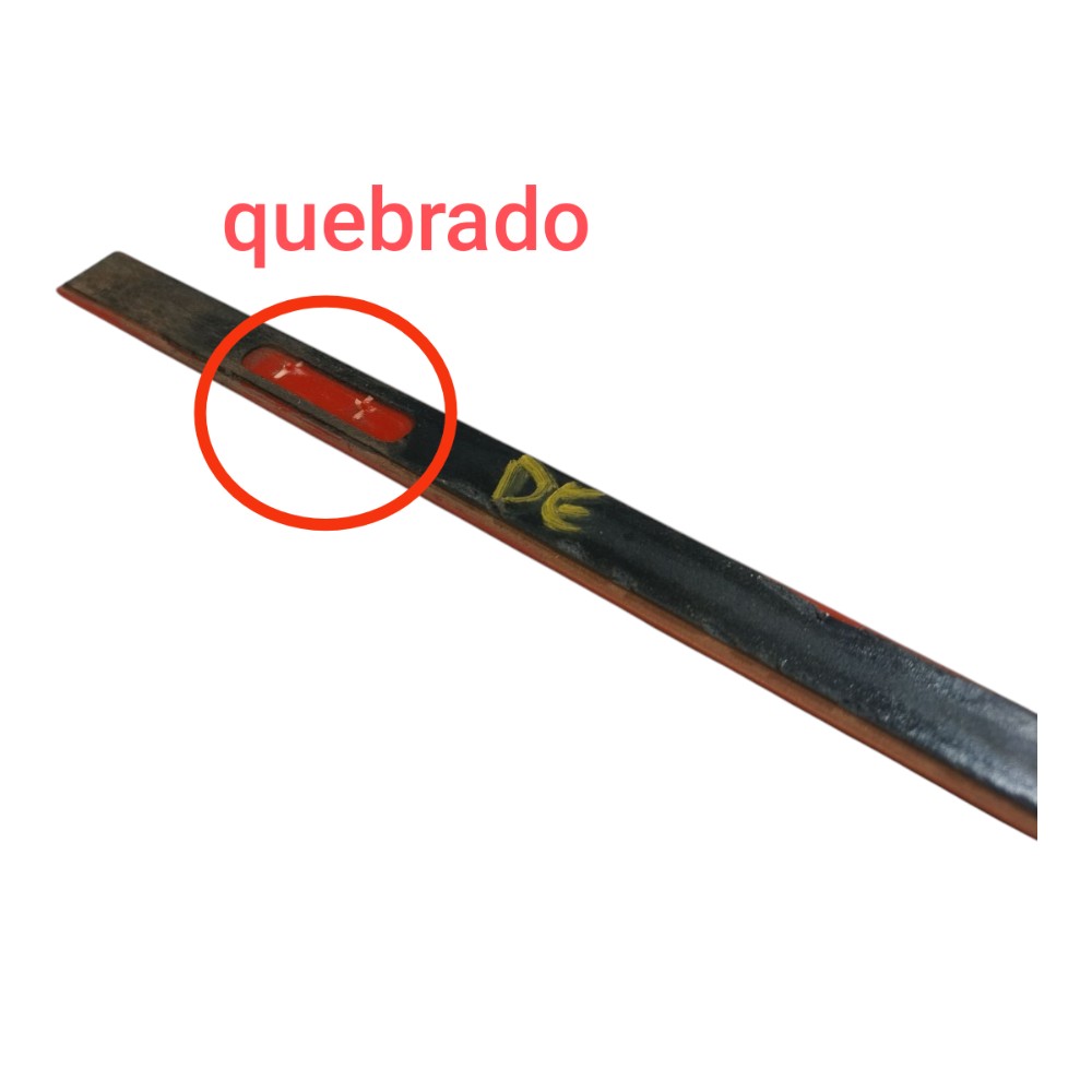 Friso Porta Dianteira Esquerdo Byd Dolphin Gs 2024 25 V666 9