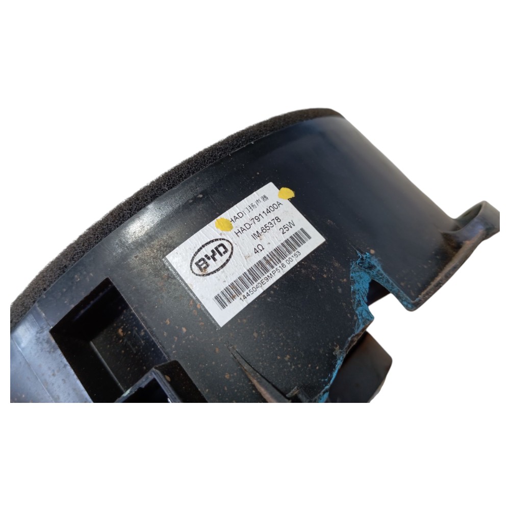 Alto Falante Dianteiro Esquerd Byd Dolphin Gs 2024 2025 V653 2