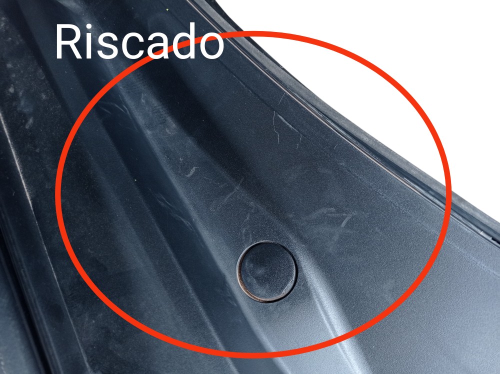 Grade Churrasqueira Lexus Rx500h F Sport Direct 4 2023 V619 3