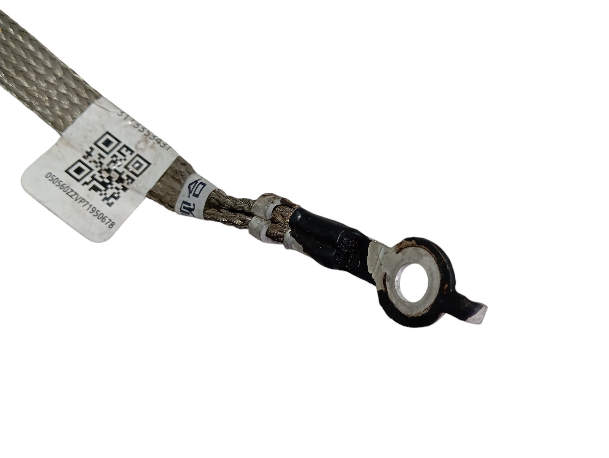 Cabo Terra Byd Dolphin Gs 180ev 2024 V596 5