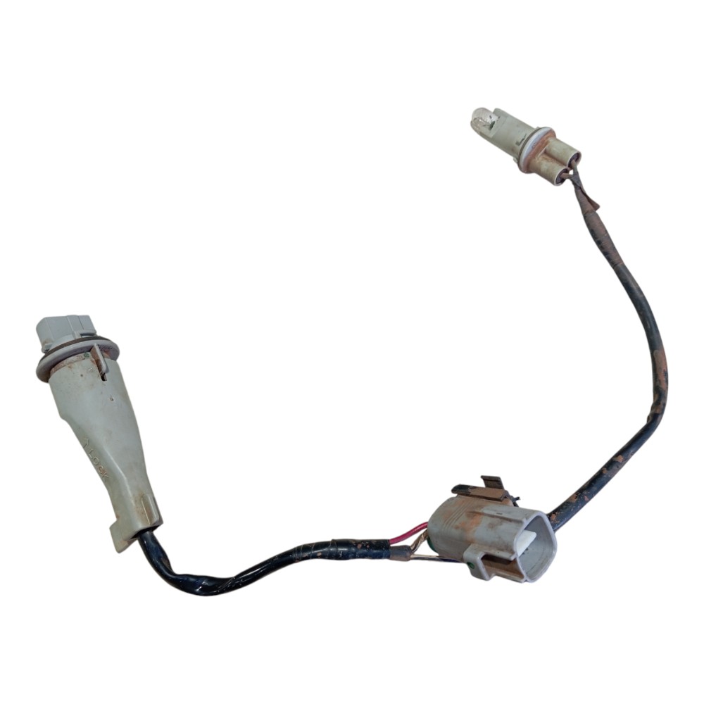 Chicote Lanterna Traseira Land Cruiser Prado 2005 V620 1