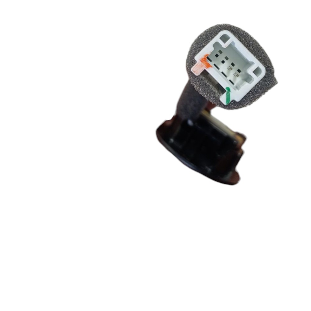 Tweeter Byd Dolphin Ev Gs 2024 V628 3