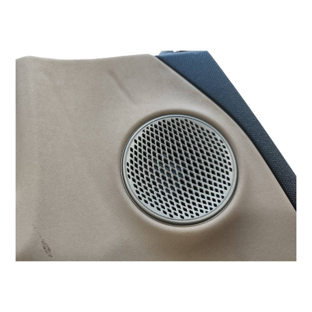 Forro Porta Dianteira Direita Byd Dolphin Gs 2024 2025 V628 7